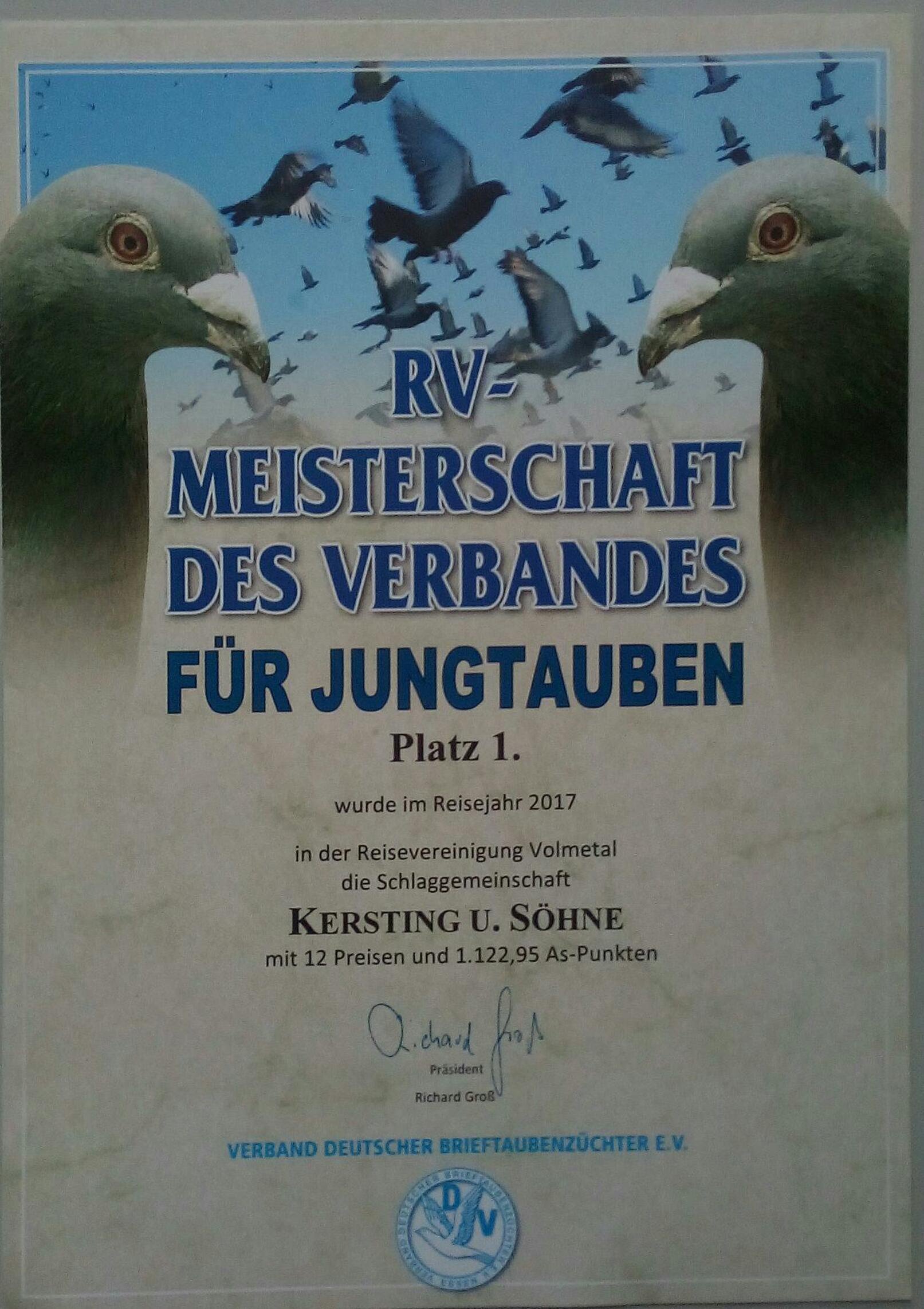RV-Verb_Jung_2017
