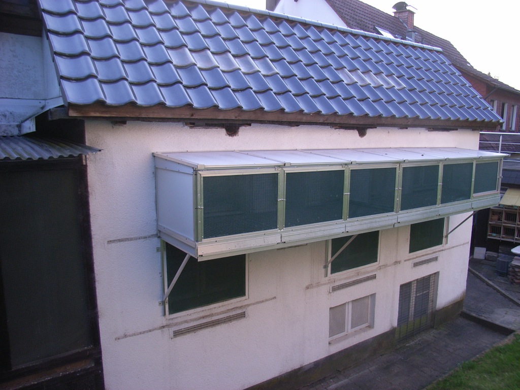 Witwervoliere