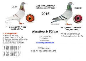 Das-Traumpaar
