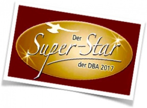 Superstar_2017_Logo
