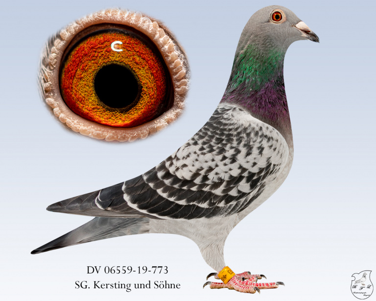 773W - 1. Vanrobaeys Superstar 2019