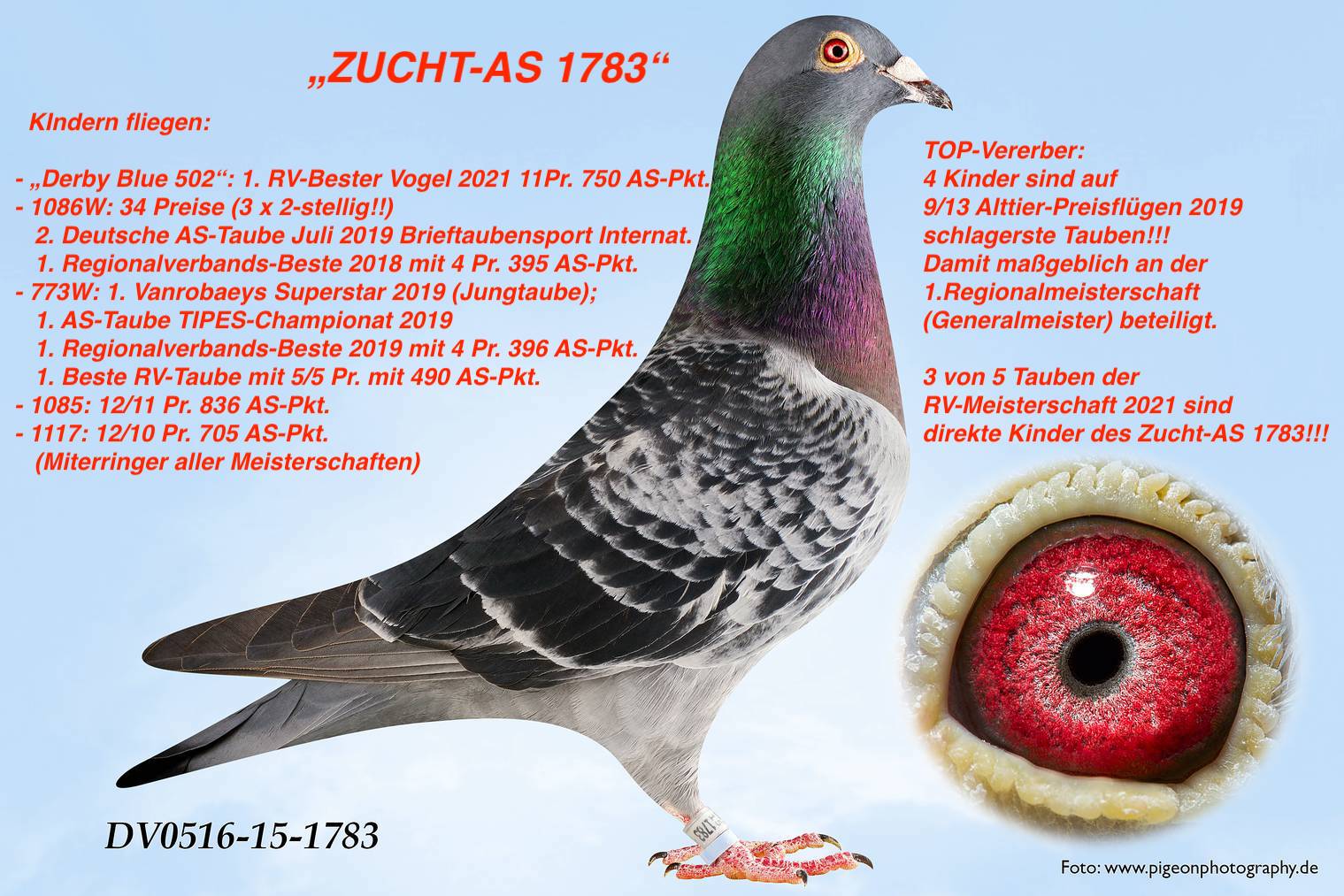 ZUCHT-AS 1783