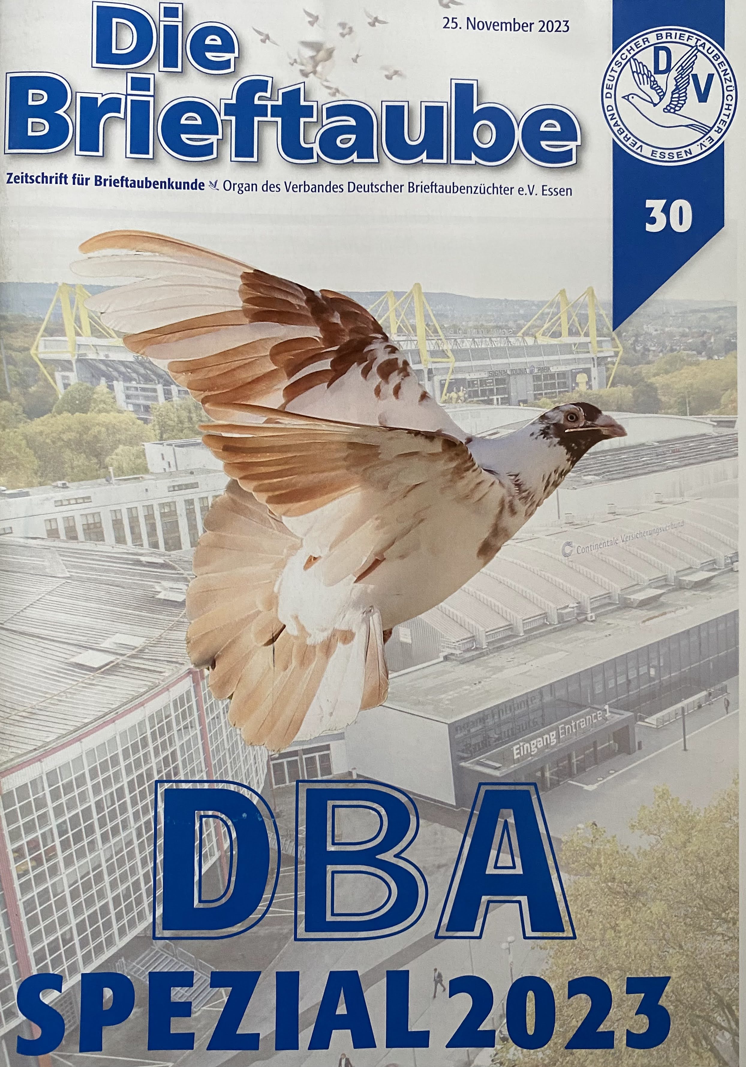 DBA-Spezial 2023