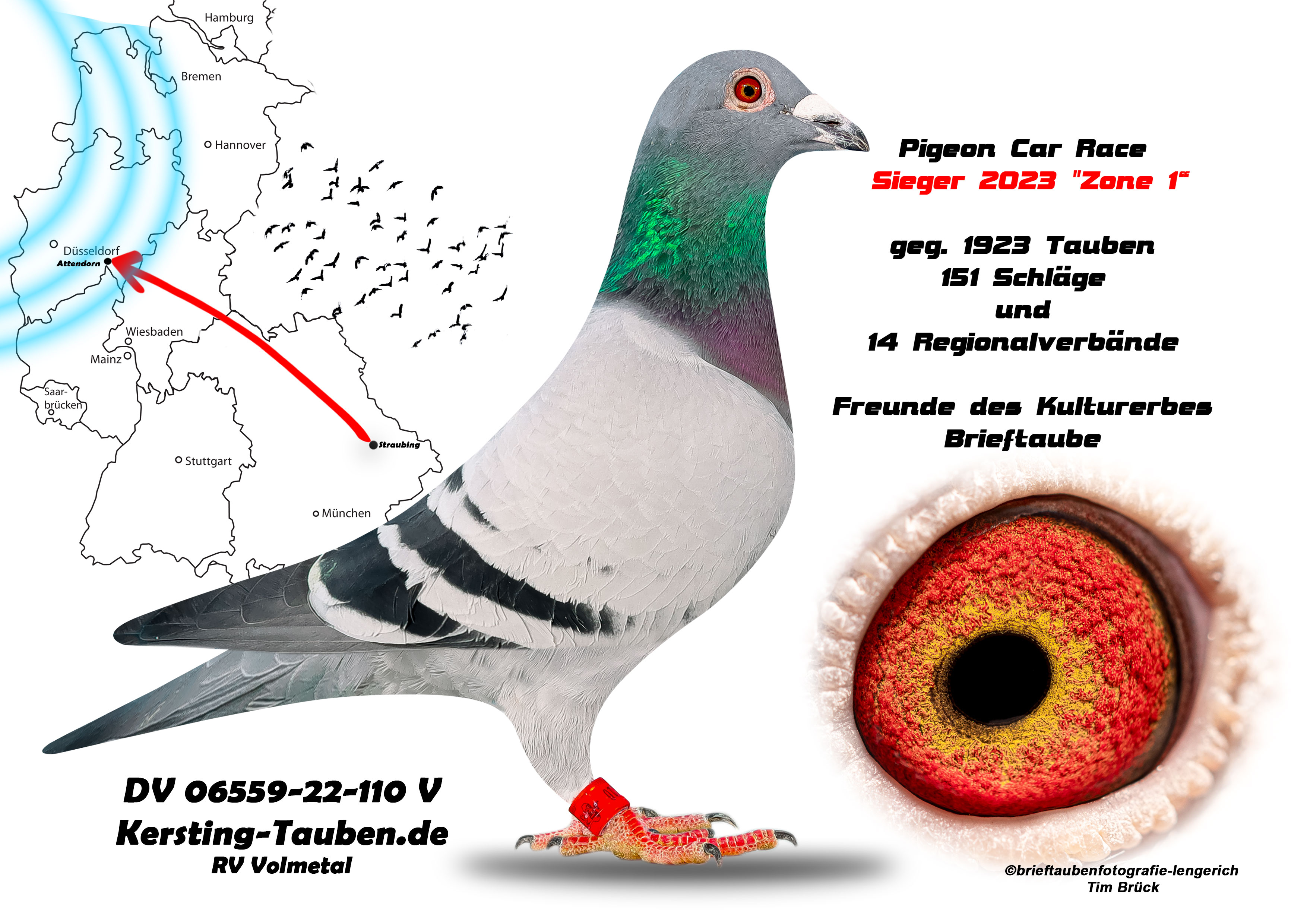 DV-06559-22-110_Bulle